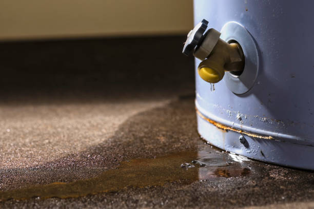 Best Water damage repair service  in Apalachicola, FL