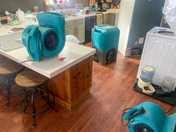  Apalachicola, FL Water damage restoration Pros