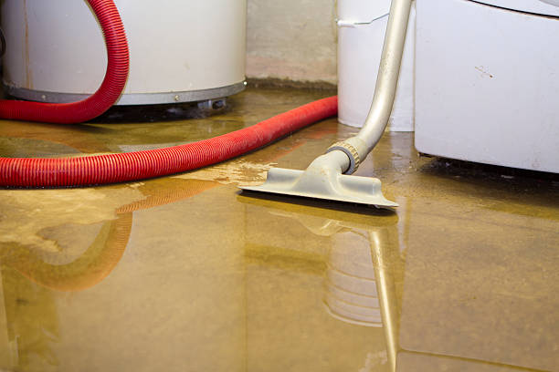 Best Water damage restoration mold remediation  in Apalachicola, FL