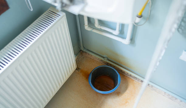 Best Residential water damage restoration  in Apalachicola, FL