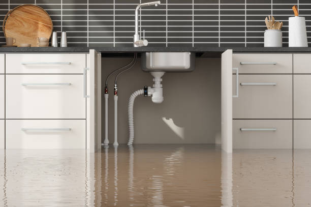 Apalachicola, FL Water damage restoration Company