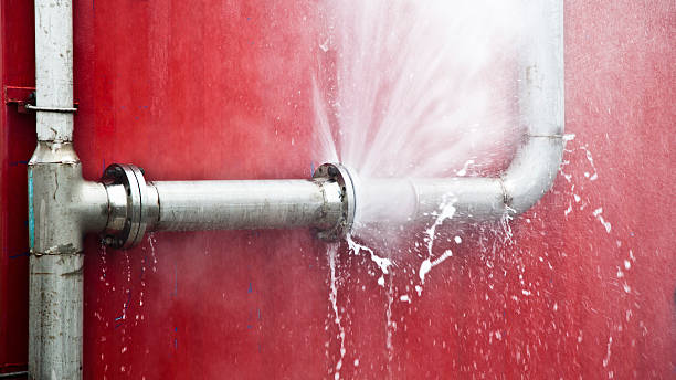 Best Sewage cleanup and water damage restoration  in Apalachicola, FL