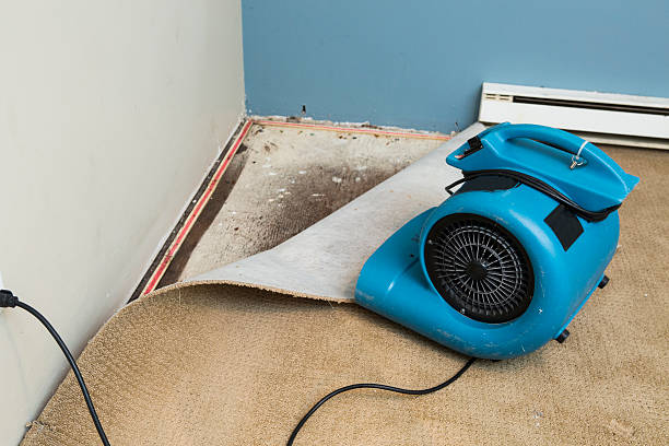 Best 24/7 water damage repair  in Apalachicola, FL
